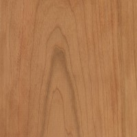 Cherry wood sample