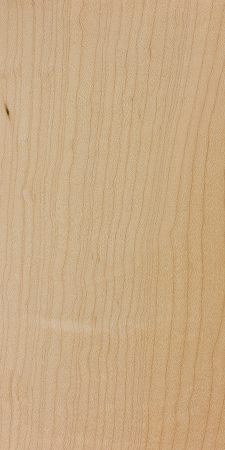 Maple wood sample