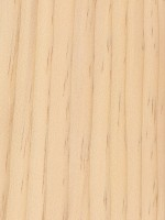 Pine wood sample