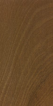 Sapele wood sample